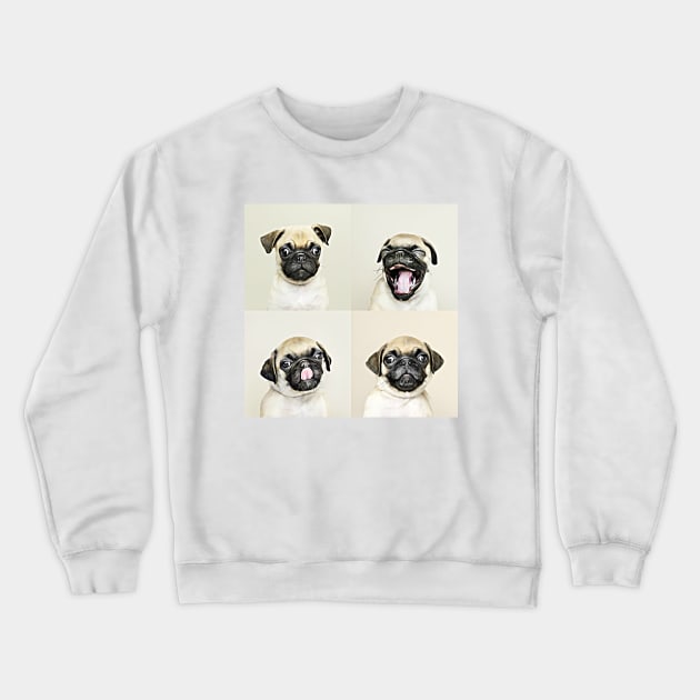 The Four Faces Of Pug Crewneck Sweatshirt by cameradog